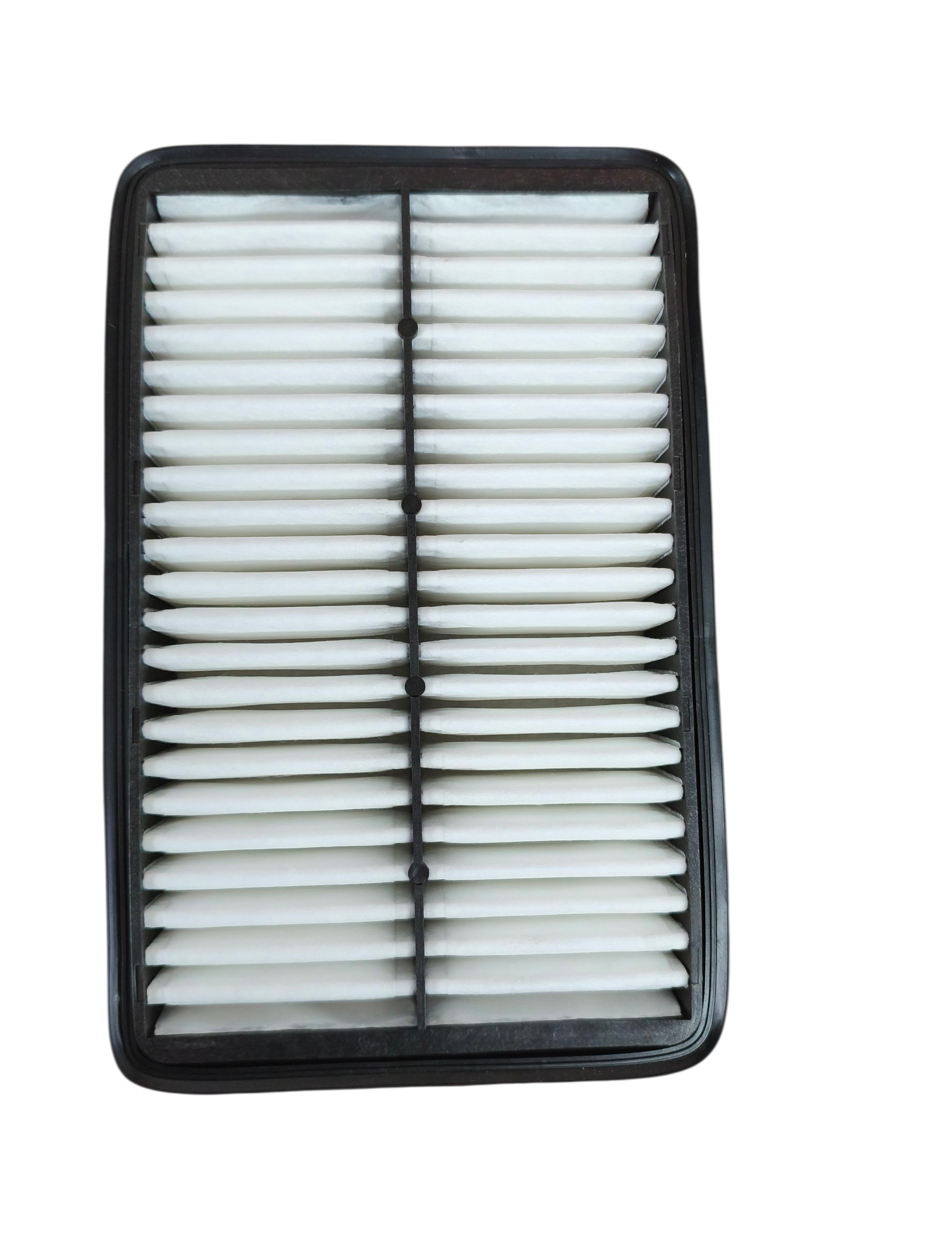 FILTRO AIRE 1.6 SKIN