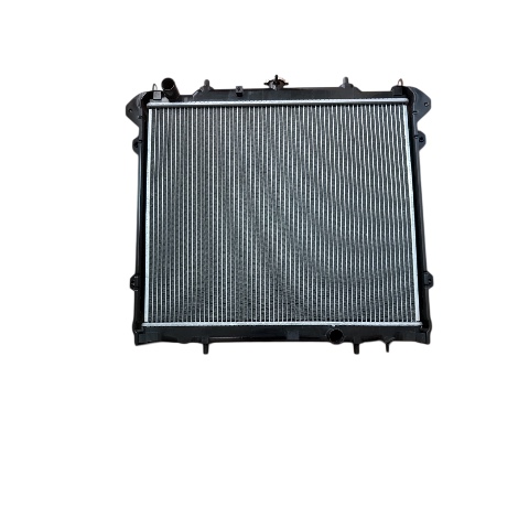 RADIADOR MOTOR 2.0 T6 PETROLERO  JAC