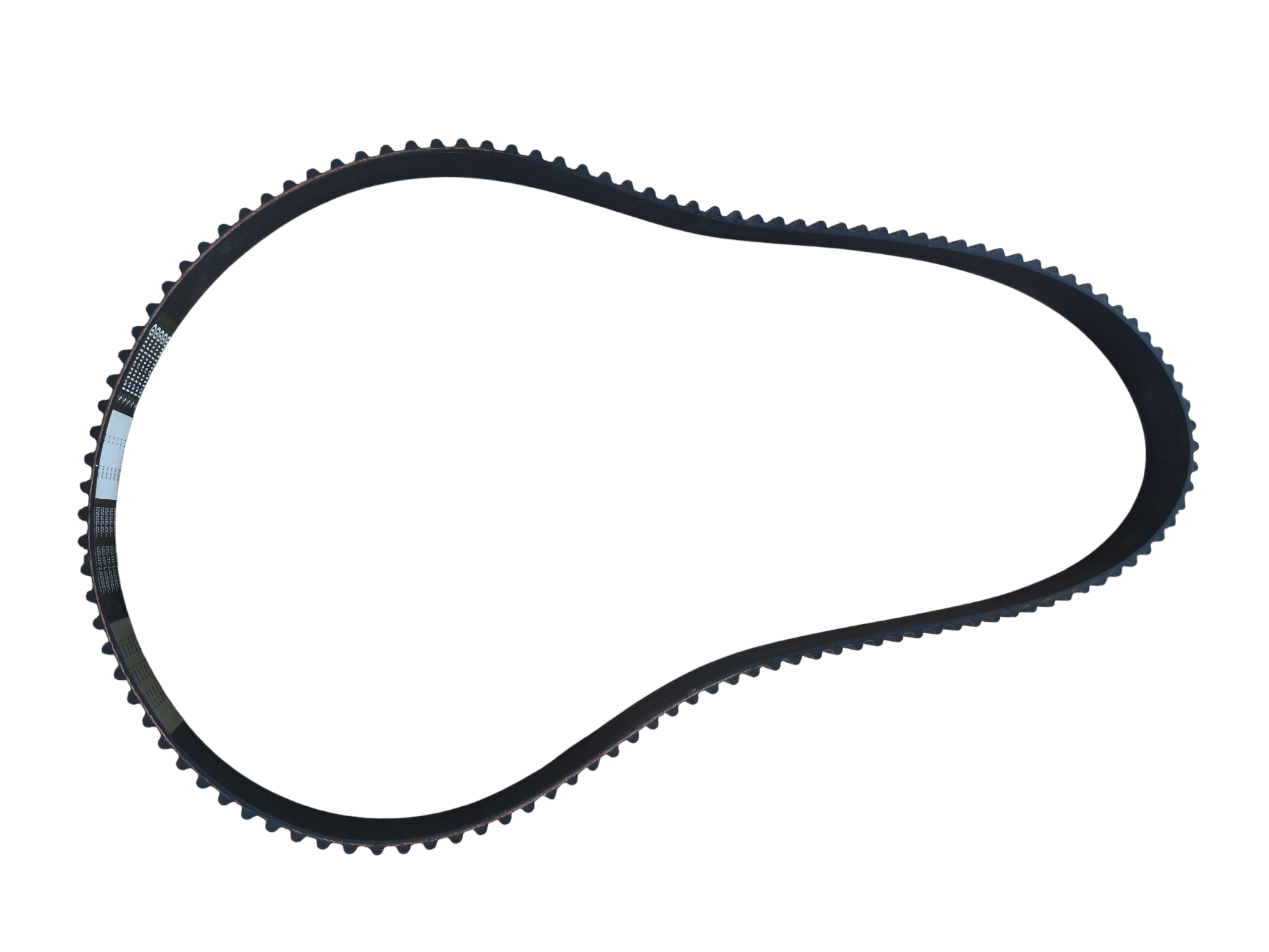 CORREA DISTRIBUCION 124D  2.4 HAVAL H5 CONTIENTAL 2