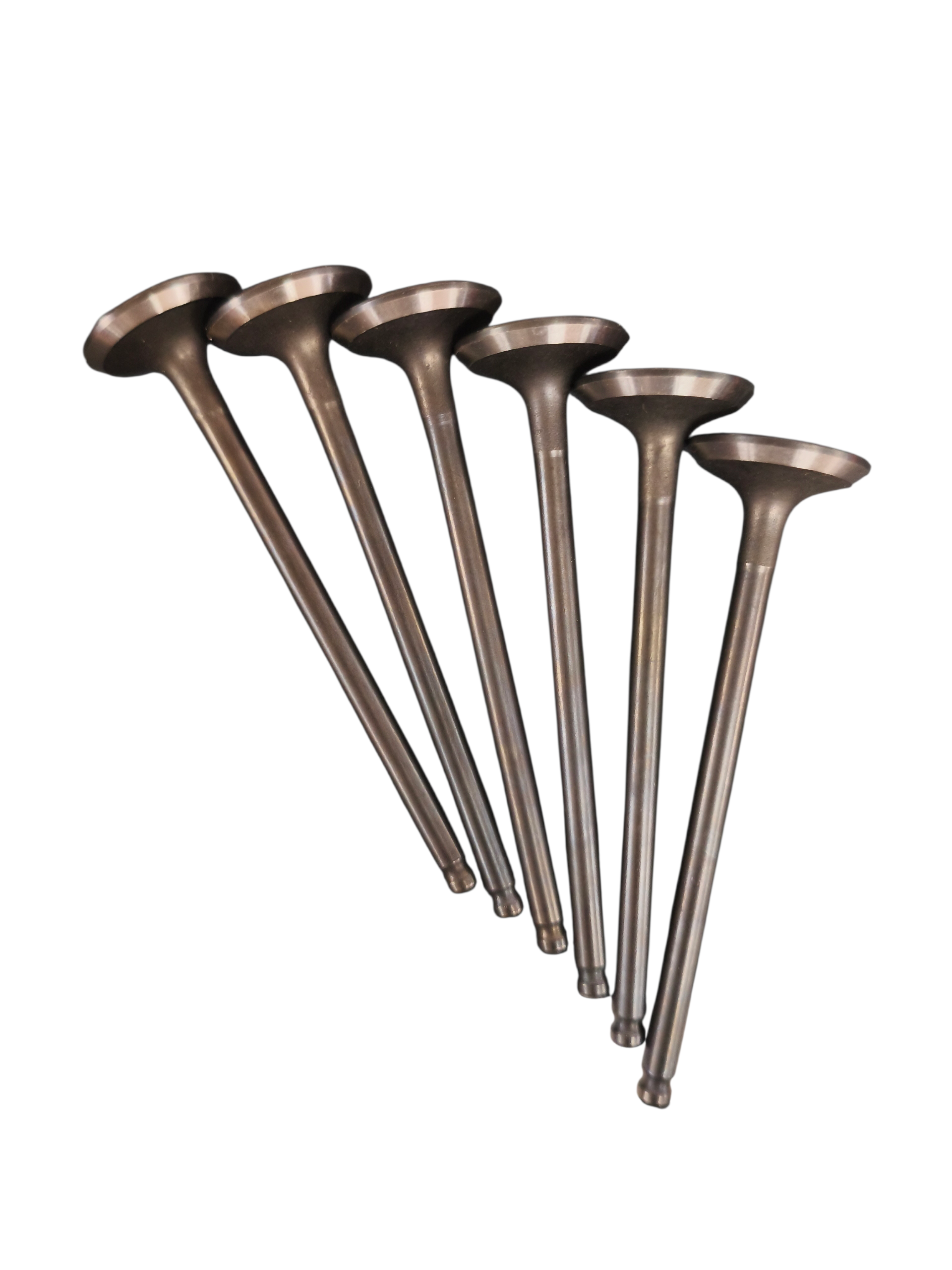 VALVULA ESCAPE JGO (6) ESC 1.0 NEW IQ-FO