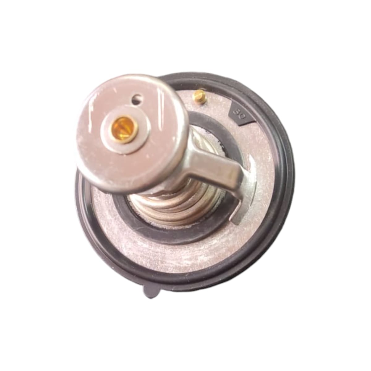 TERMOSTATO 1.8 DFSK 580