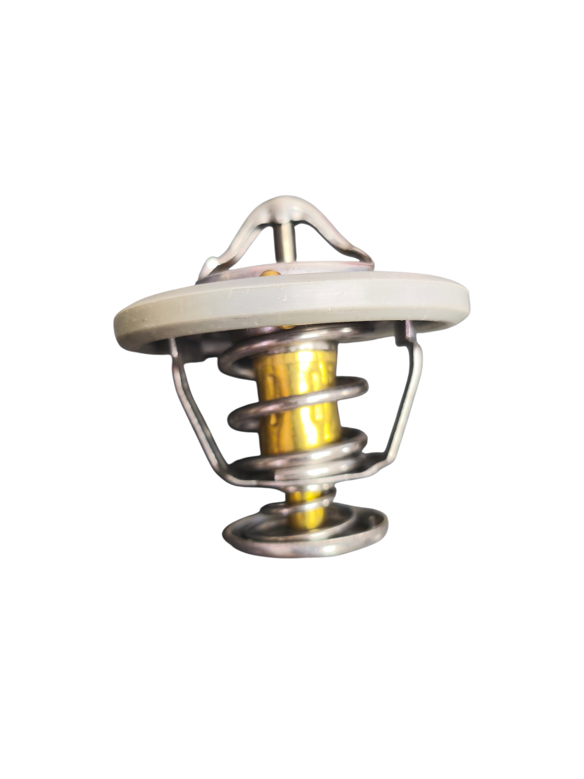 TERMOSTATO 1,5 FLORID/HAVAL 2