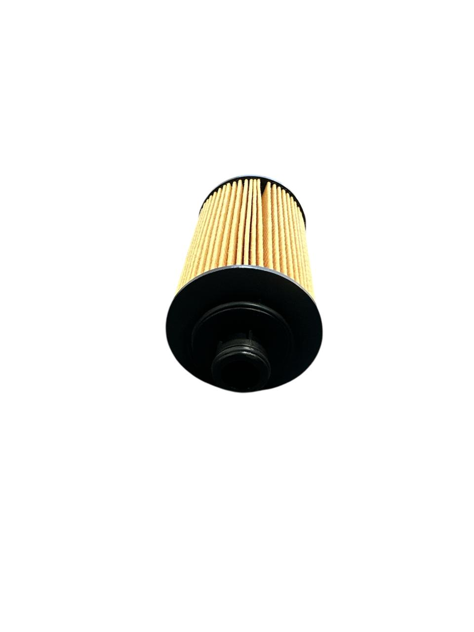 FILTRO DE ACEITE MAXUS 1.9 G10/C35 2.0 2